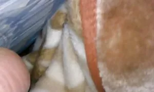 Này cô gái nóng yêu nhận được phim sexy moi nhat mát xa. Cô là vui mừng như vậy đó cô ấy mát-xa để đáp ứng của cô hồi âm đạo. Các tình với một người không sợ để biến thành nóng tình dục với một người bạn gái xinh đẹp.